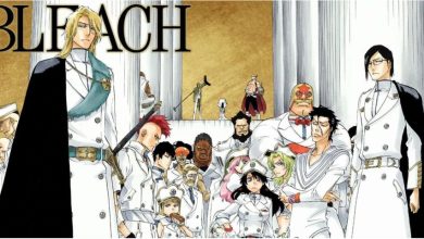 تم الكشف عن القوة الحقيقية لعشيرة Quincy في لعبة Bleach's Blood War Arc Arc لمدة ألف عام ، وهؤلاء هم أقوى أعضاء العشيرة.