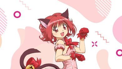 الأنمي الاستخفاف الذي شاع Catgirls