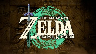 Zelda: Tears of the Kingdom Switch OLED صورة تتسرب عبر الإنترنت