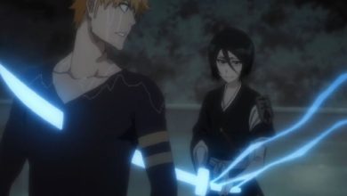 بليتش: شرح علاقة Ichigo و Rukia