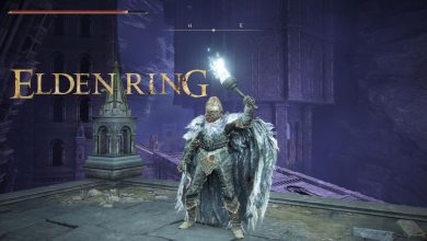 يغزو لاعب Elden Ring باستخدام الشعلة فقط