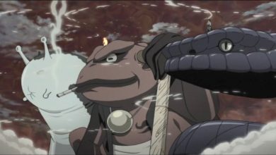 Naruto: لماذا لا تستطيع معظم الشخصيات استخدام وضع Sage
