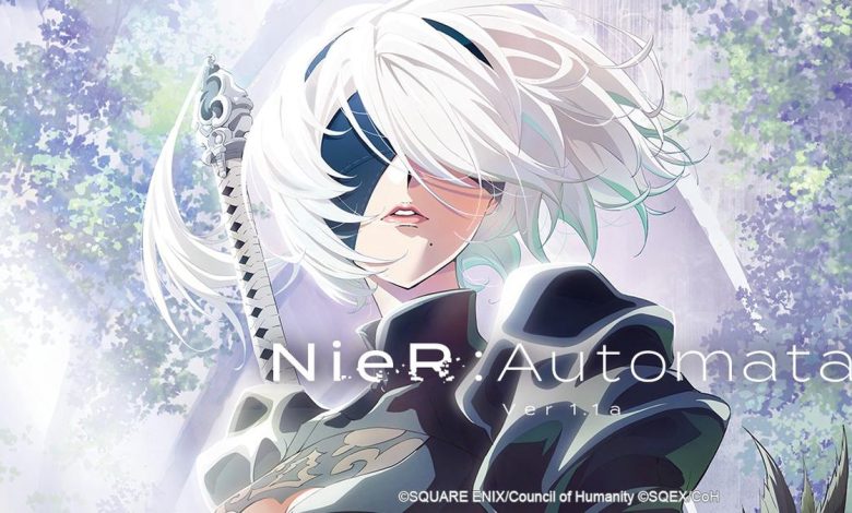 NieR: تأخر إنتاج Automata Anime Rocky مع مزيد من التأخير