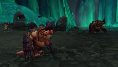 عنصر World of Warcraft الجديد يجعل Niffen أقل إزعاجًا لبعض اللاعبين