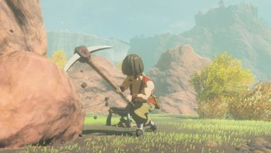 Zelda: Tears of the Kingdom لاعب يبني رئيس هدسون "دقيق الكتاب "