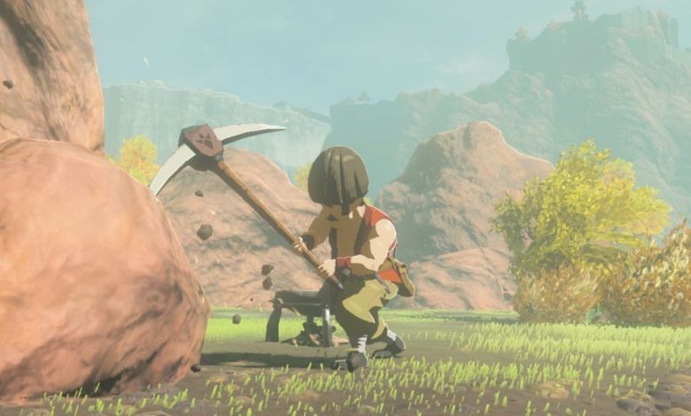 Zelda: Tears of the Kingdom لاعب يبني رئيس هدسون "دقيق الكتاب "